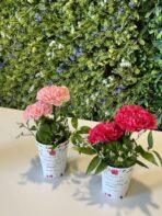 Teacher’s Day Customized Giveaway - Image 2