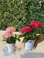 Teacher’s Day Customized Giveaway - Image 3